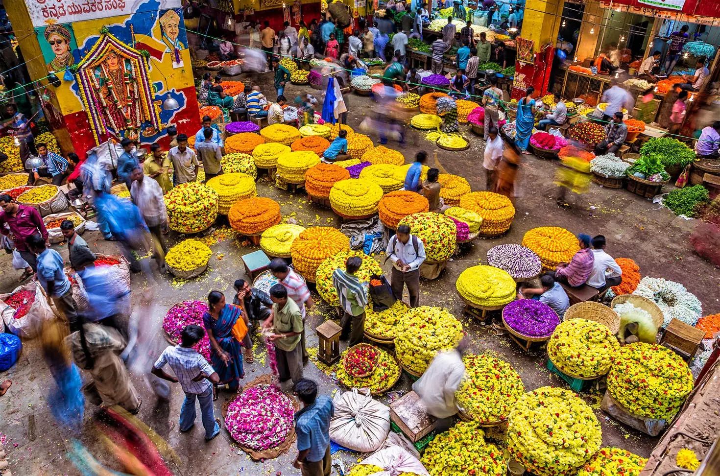 live like a local in bangalore